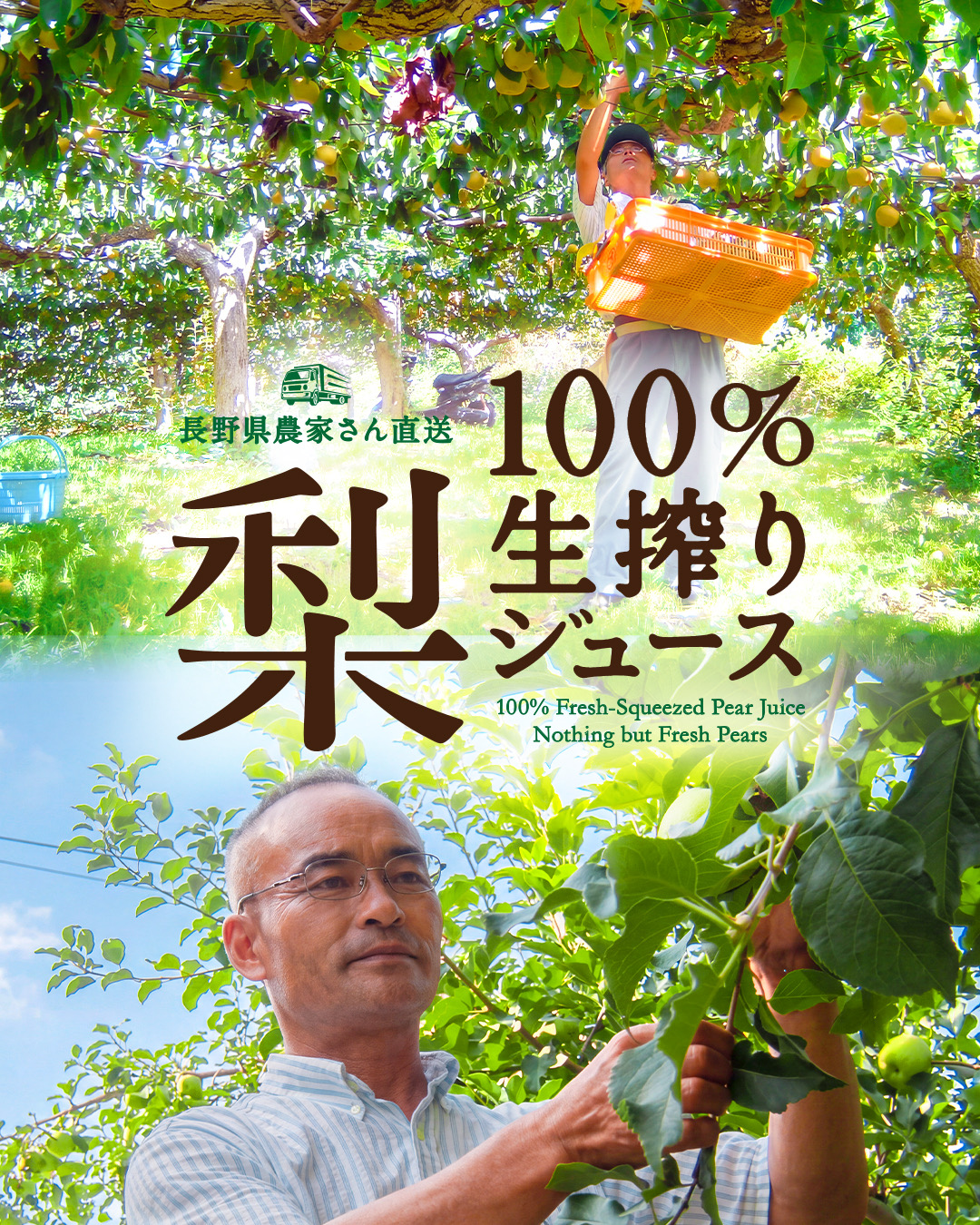 【期間限定】100％生絞りジュースのご案内